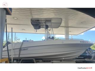 Botes BOTE WELLCRAFT 18FT Puerto Rico