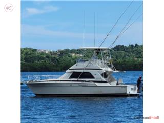 Botes BERTRAM 37 1990 motores Detroit 6v92TA  Puerto Rico