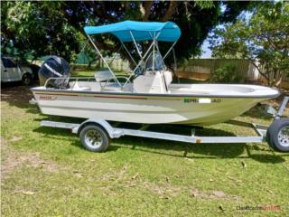 Botes Boston Whaler Montauk 17 Puerto Rico