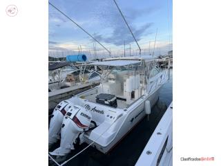 Botes WELLCRAFT COSTAL 29 2001 MOTORES EVINRUDE 250 Puerto Rico