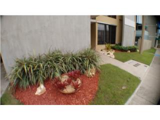 Bienes Raices  Puerto Rico
