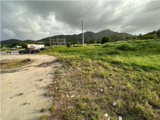 Barrio Camino Nuevo, Yabucoa Puerto Rico, Barrio-Camino Nuevo Alquiler ...