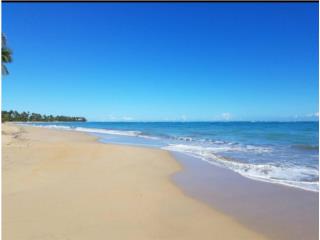 Vive donde Vacacionas! Berwind Beach Resort , Condominio-Berwind Beach ...