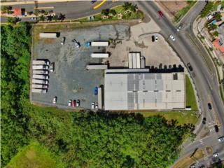 Puerto Rico - Bienes Raices Alquiler Largo Plazo10,000P2 Almacen+oficinas+Walk in Cooler  Puerto Rico