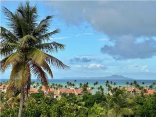 Bienes Raices  Puerto Rico