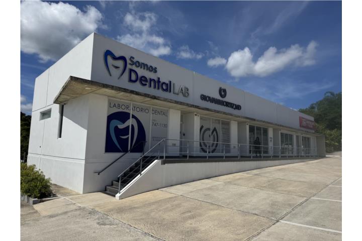 Alquiler Bienes Raices Comercial,Barrio-Rio Cañas, CAGUAS Carr #1 ...