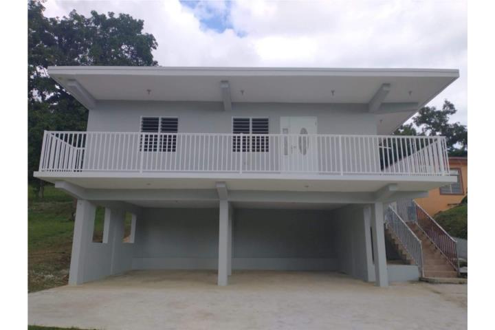 Barrio-Mariana Barrio Mariana Sector Quebrada Palma Casa en Naguabo