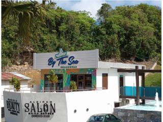Bienes Raices  Puerto Rico