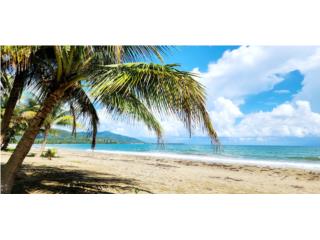 Bienes Raices  Puerto Rico