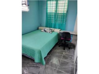 Rentals Apartamento Villa Evangelina 