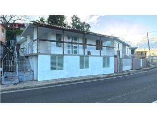 Newly remodeled 1 BD Apt in Barceloneta 