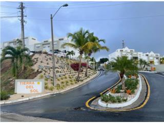 Rentals Pent House Tierra del sol Amueblado