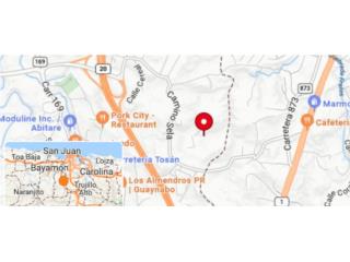Alquiler Res 3/1 Piedras Blancas,Guaynabo 
