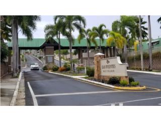 Fuentes De Coamo $1600