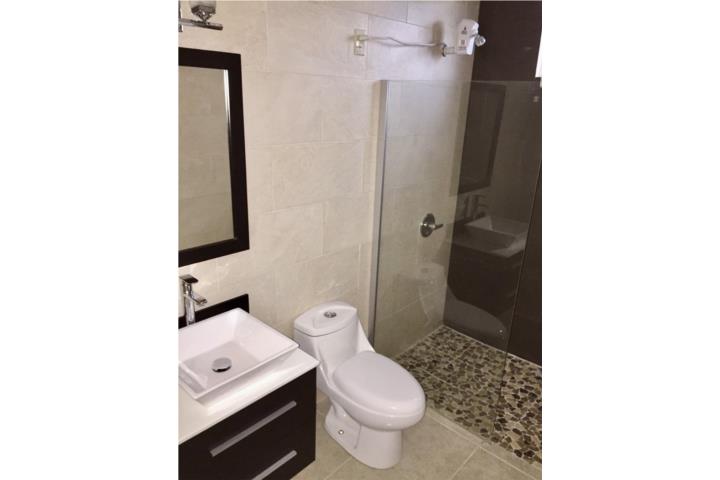 Barrio-Beatriz Bo. Beatriz Sector El Roble Apartamento en Cayey