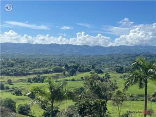Renta Finca 3.5 cdas. Hermosa Vista Panoramic