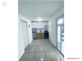 Apartamento de 1 cuarto