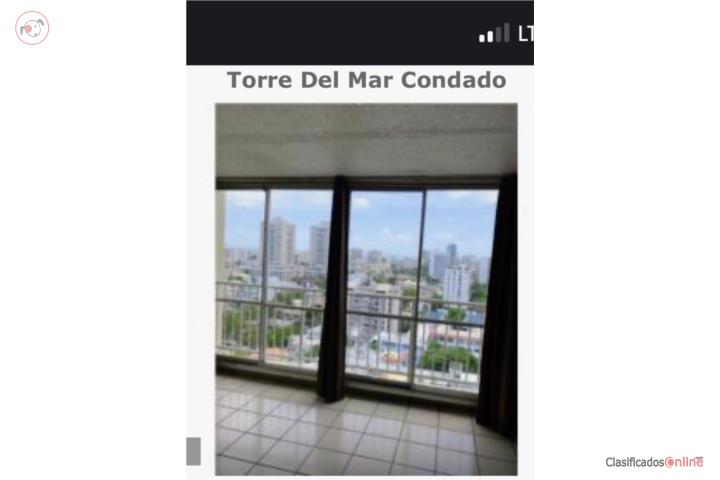 Ave Ashford Condado