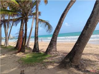 Atlantic Beach, sin amueblar, 1h 1b