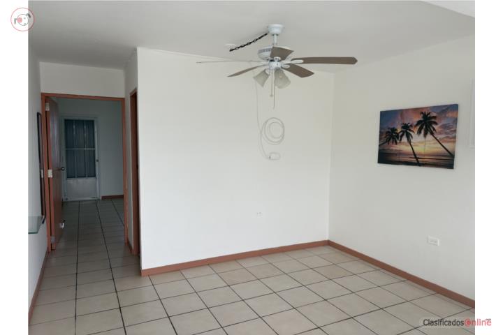 Cupey Alto, Camino Morcelo, San Juan, P.R.