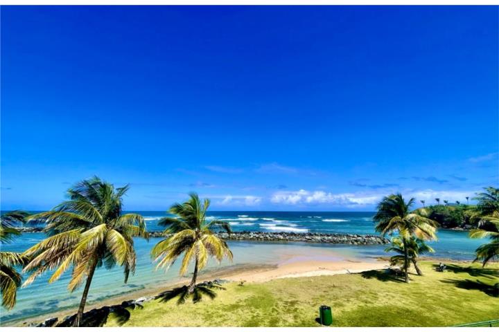 Condominio-Costa Dorada II ROMANCE BY THE SEA REMODELED BEACHFRONT CONDO Apartamento en Dorado