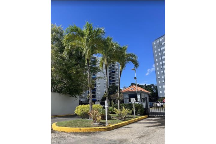 Borinquen Towers Torre 1