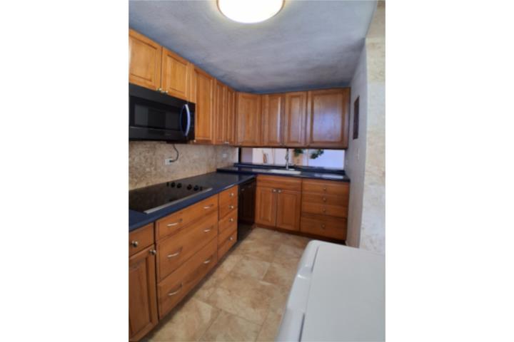 Pisos de Caparra 8th FL - Facing Ft. Buchanan