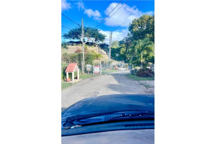 Apartamento - Primer Piso - $1,200