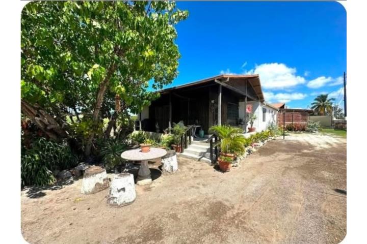 Bo Jauca Santa Isabel