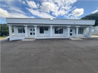 Nuevo Local Comercial en Camuy