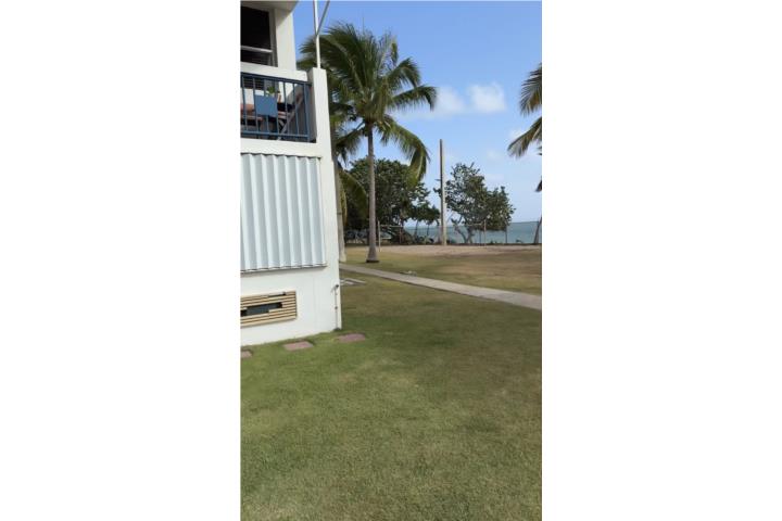 Amueblado completamente , frente al mar