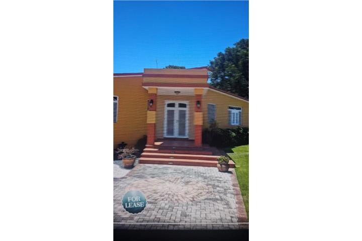 SECT SHANGAI, Calle Tranquila