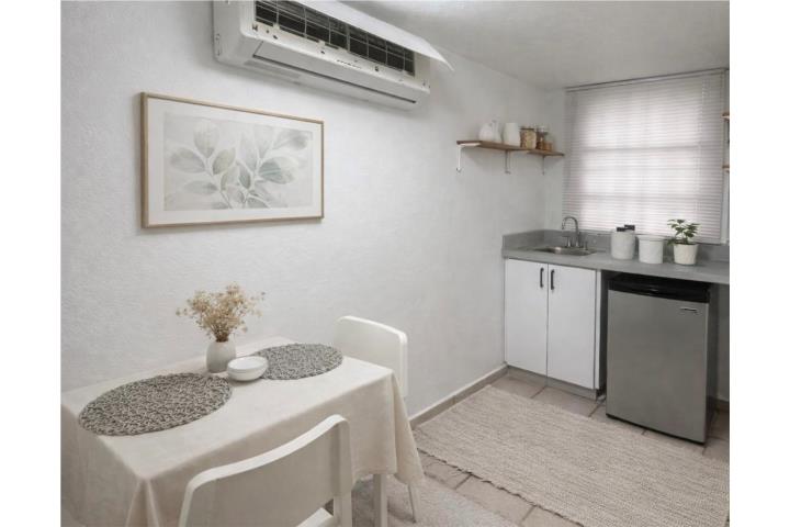 Estudio en Guaynabo, para una Dama