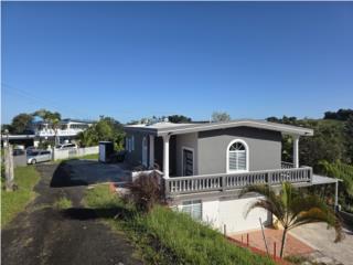 Alquiler Barrio Canaboncito Bo. Canaboncito Sector Hormigas hermosa resid Caguas