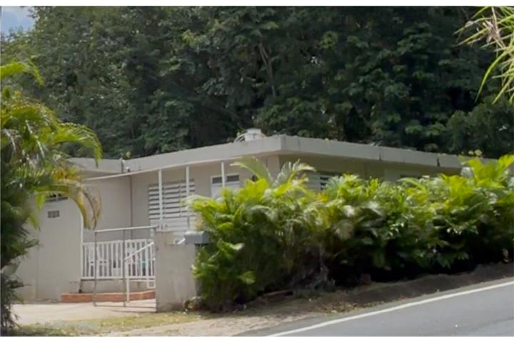 Barrio-Dominguito Bo.Dominguito Arecibo hermosa de campo Casa en Arecibo