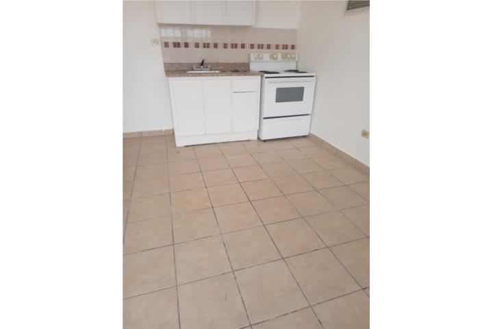 Barrio-Cerro Gordo Urb. Reparto Zarina Apartamento en Bayamón