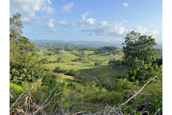 Barrio-Rio Arriba Saliente Finca 3.5 cdas. Un Sueño... Vista Panorá Solar/Finca en Manatí