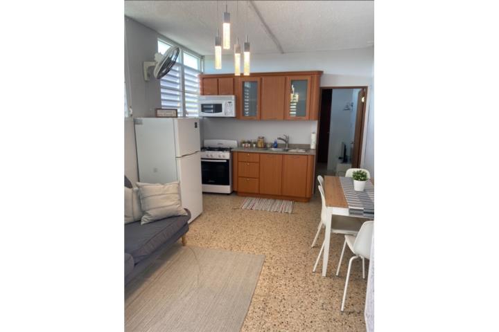 Urbanizacion-Sierra Berdecia Sierra Berdecia APT Dama sola amueblado 1C 1B Apartamento en Guaynabo
