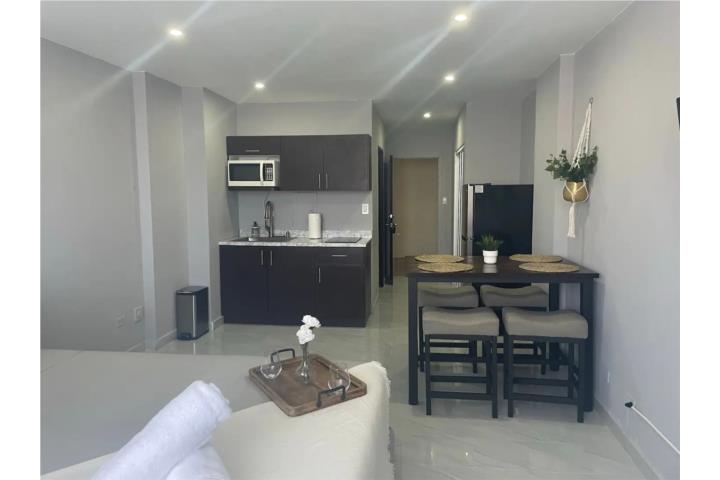 Condominio-Caribbean Sea View 1B/1B Apartment-Caribbean Sea View-Miramar Apartamento en San Juan - Condado-Miramar