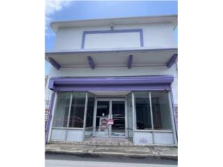 Local comercial 13000 Mens Fajardo pueblo