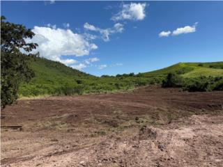 Finca 25 Cuerdas