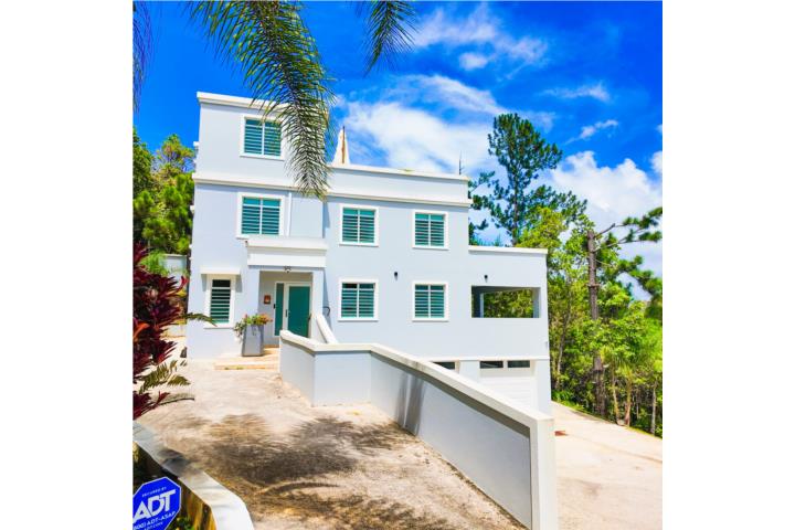 Alquiler Corporativo  Cayey