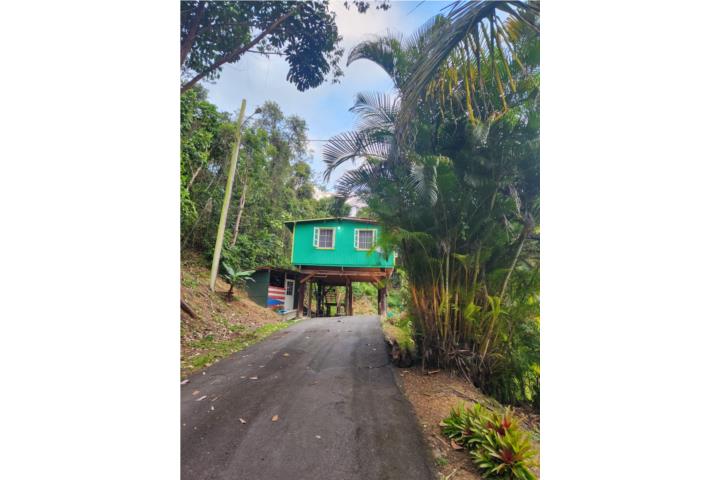 Cidra/Cayey Bo Beatriz