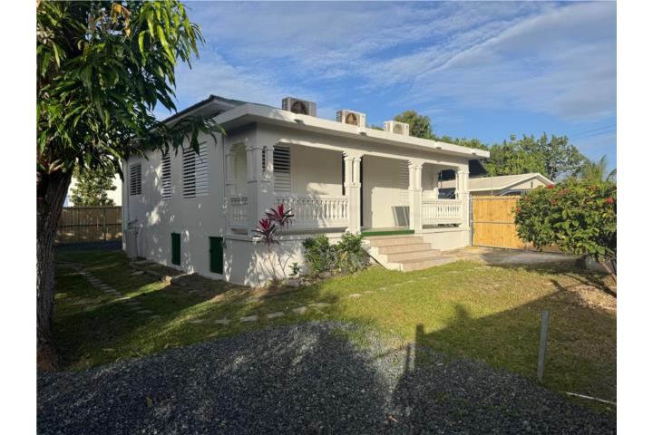 Tres palmas calle Jose Perez