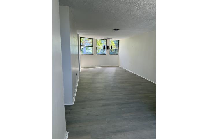 Golden Court 2 Apartment in San Juan with Remodel