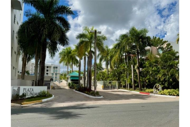 PLAZA DEL PALMAR GUAYNABO/ PLANTA ELECT. FULL