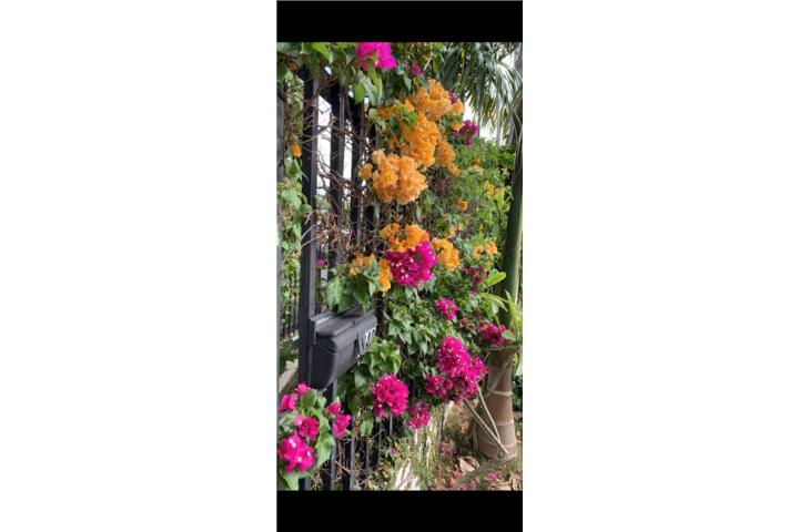 STA RITA APT 1 HAB/ UPR AUXILIO MONTE MALL