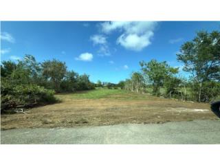 Alquiler HERMOSO SOLAR PARA ALQUILAR EN AGUADILLA.