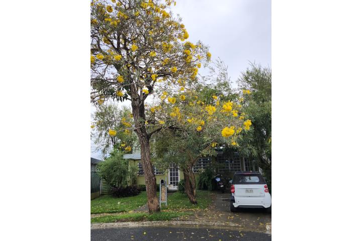 Casa 2c 1b aire aaa luz 319-4441