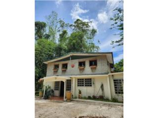 Alquiler APARTAMENTO, 1H, 1B - GUAVATE